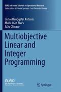 Henggeler Antunes / Climaco / Alves |  Multiobjective Linear and Integer Programming | Buch |  Sack Fachmedien