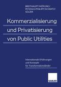 Breithaupt / Höfling / Sülzer |  Kommerzialisierung und Privatisierung von Public Utilities | Buch |  Sack Fachmedien