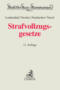 Laubenthal / Nestler / Neubacher |  Strafvollzugsgesetze | Buch |  Sack Fachmedien
