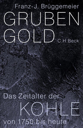 Brüggemeier | Grubengold | Buch | sack.de