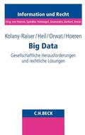 Kolany-Raiser / Heil / Orwat |  Big Data | Buch |  Sack Fachmedien