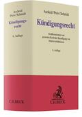 Aascheid / Schmidt / Preis |  Kündigungsrecht | Buch |  Sack Fachmedien
