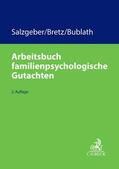 Salzgeber |  Arbeitsbuch familienpsychologische Gutachten | Buch |  Sack Fachmedien