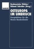 Benkenstein |  Osteuropa im Umbruch | Buch |  Sack Fachmedien