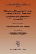 Aufderheide / Dabrowski / Schumann |  Effizienz und Gerechtigkeit bei der Nutzung natürlicher Ressourcen | eBook | Sack Fachmedien