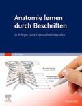 Elsevier GmbH |  Anatomie lernen durch Beschriften | Buch |  Sack Fachmedien