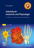 Brühlmann-Jecklin / Jecklin |  Arbeitsbuch Anatomie und Physiologie | Buch |  Sack Fachmedien