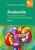Drenckhahn / Benninghoff |  Benninghoff, A:  Anatomie 1 | Buch |  Sack Fachmedien