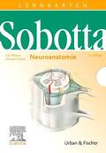 Bräuer / Sobotta / Scholz |  Sobotta Lernkarten Neuroanatomie | Sonstiges |  Sack Fachmedien