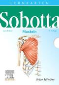 Bräuer / Sobotta |  Sobotta Lernkarten Muskeln | Sonstiges |  Sack Fachmedien
