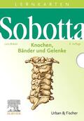 Bräuer / Sobotta |  Sobotta Lernkarten Knochen, Bänder und Gelenke | Sonstiges |  Sack Fachmedien