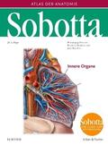Sobotta / Waschke / Paulsen |  Waschke, J: Sobotta, Atlas der Anatomie  Band 2 | Buch |  Sack Fachmedien