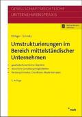 Ettinger / Schmitz |  Umstrukturierungen im Bereich mittelständischer Unternehmen | Buch |  Sack Fachmedien