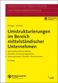 Ettinger / Schmitz |  Umstrukturierungen im Bereich mittelständischer Unternehmen | Buch |  Sack Fachmedien