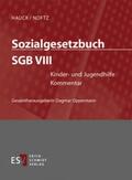 HAUCK / NOFTZ |  Sozialgesetzbuch SGB VIII: Kinder- und Jugendhilfe, mit Fortsetzungsbezug | Loseblattwerk |  Sack Fachmedien
