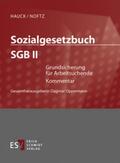 HAUCK / NOFTZ |  Sozialgesetzbuch (SGB) II: Grundsicherung für Arbeitsuchende, mit Fortsetzungsbezug | Loseblattwerk |  Sack Fachmedien