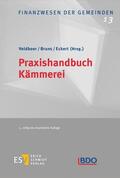 Behnke-Hahne / Black / Brüning |  Praxishandbuch Kämmerei | eBook | Sack Fachmedien