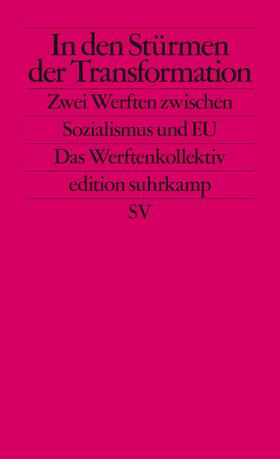 Ther / Brunnbauer / Filipkowski | In den Stürmen der Transformation | Buch | sack.de