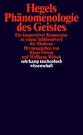 Vieweg / Welsch |  Hegels Phänomenologie des Geistes | Buch |  Sack Fachmedien