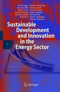 Steger / Achterberg / Blok |  Sustainable Development and Innovation in the Energy Sector | Buch |  Sack Fachmedien