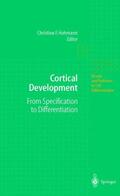 Hohmann |  Cortical Development | Buch |  Sack Fachmedien