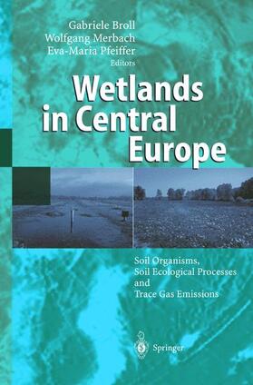 Broll / Pfeiffer / Merbach | Wetlands in Central Europe | Buch | sack.de