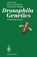 Graf / Würgler / Schaik |  Drosophila Genetics | Buch |  Sack Fachmedien
