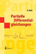 Jost |  Partielle Differentialgleichungen | Buch |  Sack Fachmedien