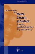 Meiwes-Broer |  Metal Clusters at Surfaces | Buch |  Sack Fachmedien