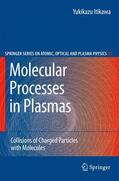Itikawa |  Molecular Processes in Plasmas | Buch |  Sack Fachmedien