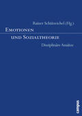 Schützeichel |  Emotionen und Sozialtheorie | Buch |  Sack Fachmedien