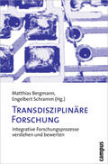 Bergmann / Schramm |  Transdisziplinäre Forschung | Buch |  Sack Fachmedien