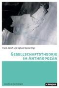 Chakrabarty / Adloff / Fladvad |  Gesellschaftstheorie im Anthropozän | Buch |  Sack Fachmedien