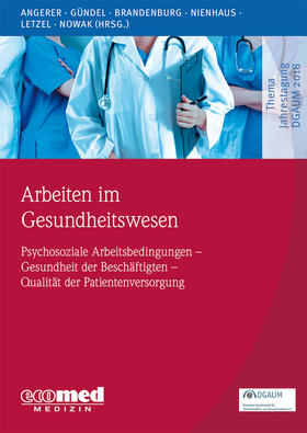 Angerer / Gündel / Brandenburg | Arbeiten im Gesundheitswesen | Buch | sack.de