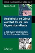 Alibardi |  Morphological and Cellular Aspects of Tail and Limb Regeneration in Lizards | Buch |  Sack Fachmedien