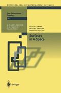 Carter / Saito / Kamada |  Surfaces in 4-Space | Buch |  Sack Fachmedien