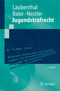 Laubenthal / Baier / Nestler |  Jugendstrafrecht | eBook | Sack Fachmedien