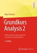 Fritzsche |  Grundkurs Analysis 2 | Buch |  Sack Fachmedien
