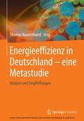 Bauernhansl |  Energieeffizienz in Deutschland - eine Metastudie | eBook | Sack Fachmedien