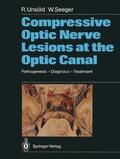 Unsöld / Seeger |  Compressive Optic Nerve Lesions at the Optic Canal | Buch |  Sack Fachmedien