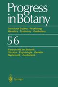 Behnke / Lüttge / Runge |  Progress in Botany | Buch |  Sack Fachmedien