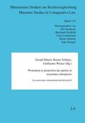 Mäsch / Schulze / Wicker |  Promotion et protection des petites et moyennes entreprises | Buch |  Sack Fachmedien