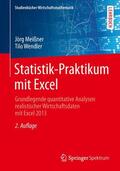 Wendler / Meißner |  Statistik-Praktikum mit Excel | Buch |  Sack Fachmedien