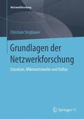 Stegbauer |  Grundlagen der Netzwerkforschung | Buch |  Sack Fachmedien