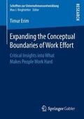 Erim |  Expanding the Conceptual Boundaries of Work Effort | Buch |  Sack Fachmedien