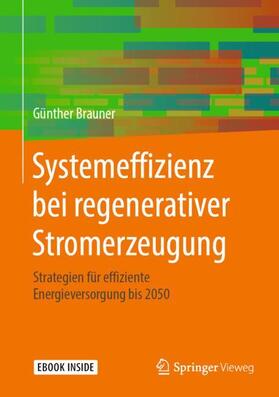 Brauner | Systemeffizienz bei regenerativer Stromerzeugung | Buch | sack.de