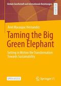 Hernández / Hernandez |  Taming the Big Green Elephant | Buch |  Sack Fachmedien