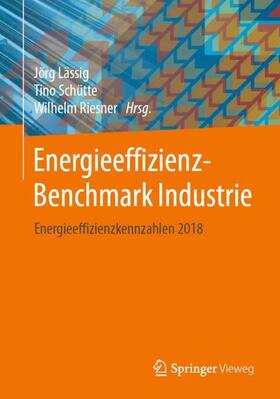 Lässig / Schütte / Riesner | Energieeffizienz-Benchmark Industrie | Buch | sack.de