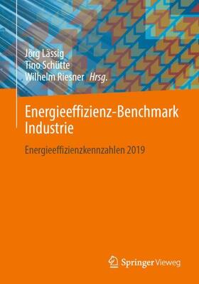 Lässig / Schütte / Riesner | Energieeffizienz-Benchmark Industrie | Buch | sack.de