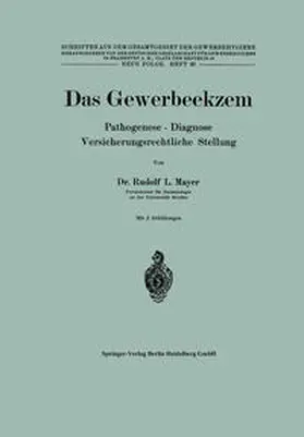 Mayer |  Das Gewerbeekzem | Buch |  Sack Fachmedien